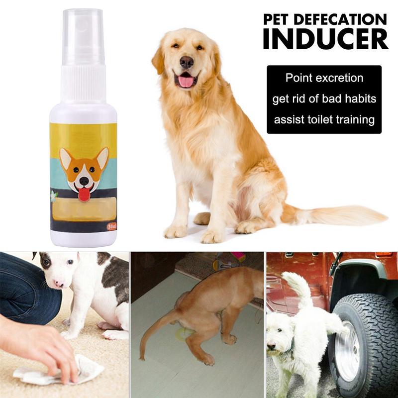 1PCS Dog Potty Train Spray Por - огляд і ціна Travel Accessories For Train