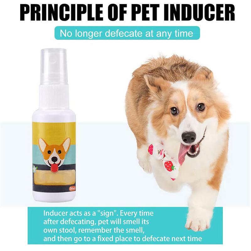 1PCS Dog Potty Train Spray Por - огляд і ціна Travel Accessories For Train